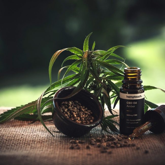 Using CBD to Fight Drug Addiction: 5 Important Things to Know